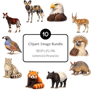 10 Exotic Wildlife Clipart Bundle, PNG & JPG, 300 DPI, Digital Download