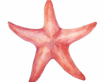 Könnte beinhalten: Ein rosa Aquarell-Seestern mit einer fünfzackigen Sternform und einer strukturierten Oberfläche.