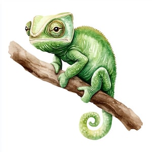 Pacote com 10 cliparts fofos de camaleão em aquarela de alta qualidade, imagem de diário de lixo para impressão, lagarto em um galho, download instantâneo de gráfico JPG PNG