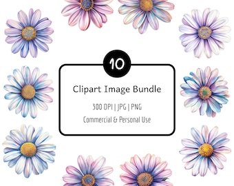 10 Watercolour Daisy Clipart Bundle, PNG & JPG, 300 DPI, Digital Download