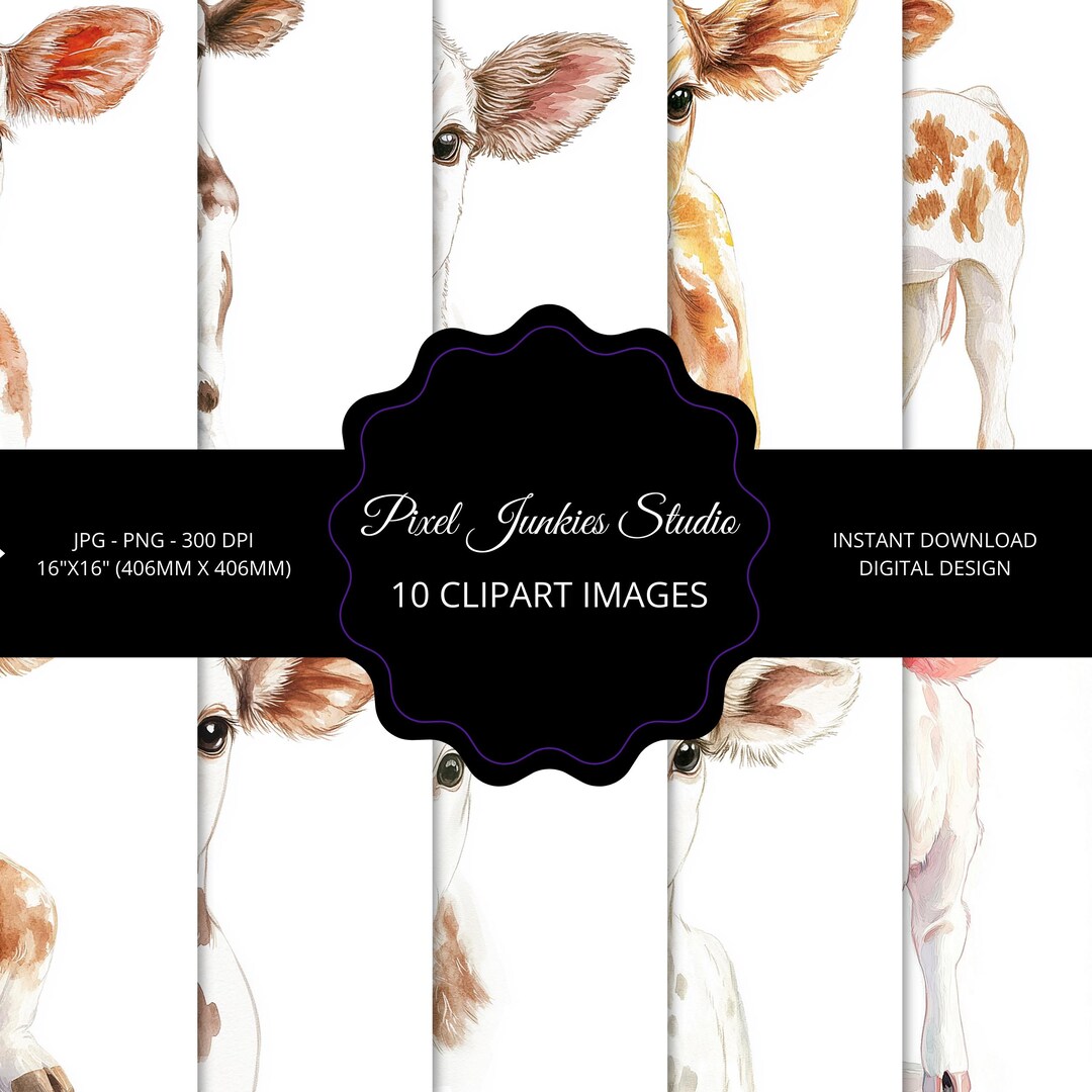 Baby Calf Clipart Bundle, Cute Cow Watercolor PNG, Digital Download - Etsy