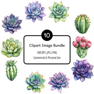 10 aquarel succulente cactus clipartbundel, png en jpg, 300 dpi, digitale download