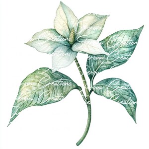 10 bundle di clipart di fiori, arte murale, acquerello stampabile, JPG di alta qualità, artigianato di carta, diario di spazzatura, invito, matrimonio, biglietto, PNG