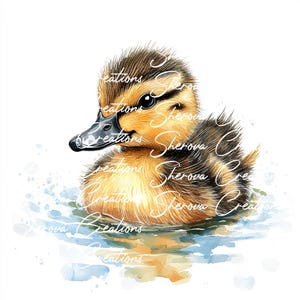 10 Enten Clipart Bundle, Wandkunst, druckbare Aquarelle, hochwertige JPG-Dateien, Papiermodelle, Junk Journal, Einladungen, Hochzeit, Karte, PNG
