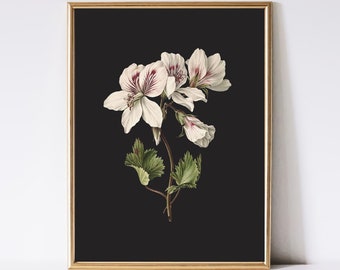 Dark Botanical Flower Oil Painting, Moody Gothic Wall Art (Digital Download)