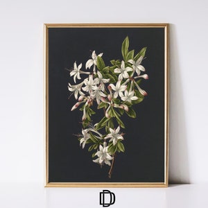 Dunkle botanische Blume druckbare Wandkunst, launische weiße Blumen Poster, Vintage Dark Academia Poster, Floral Gothic Wand-Dekor, digitaler Download