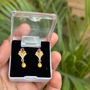 May include: A pair of gold-colored earrings with a red gemstone at the top and a dangling teardrop shape. The earrings are displayed in a clear plastic box with a black velvet interior, held against a backdrop of green foliage.