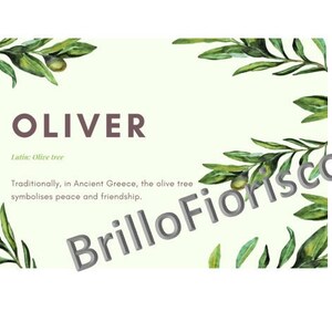 Oliver name meaning picture for photo frame - Digital Print