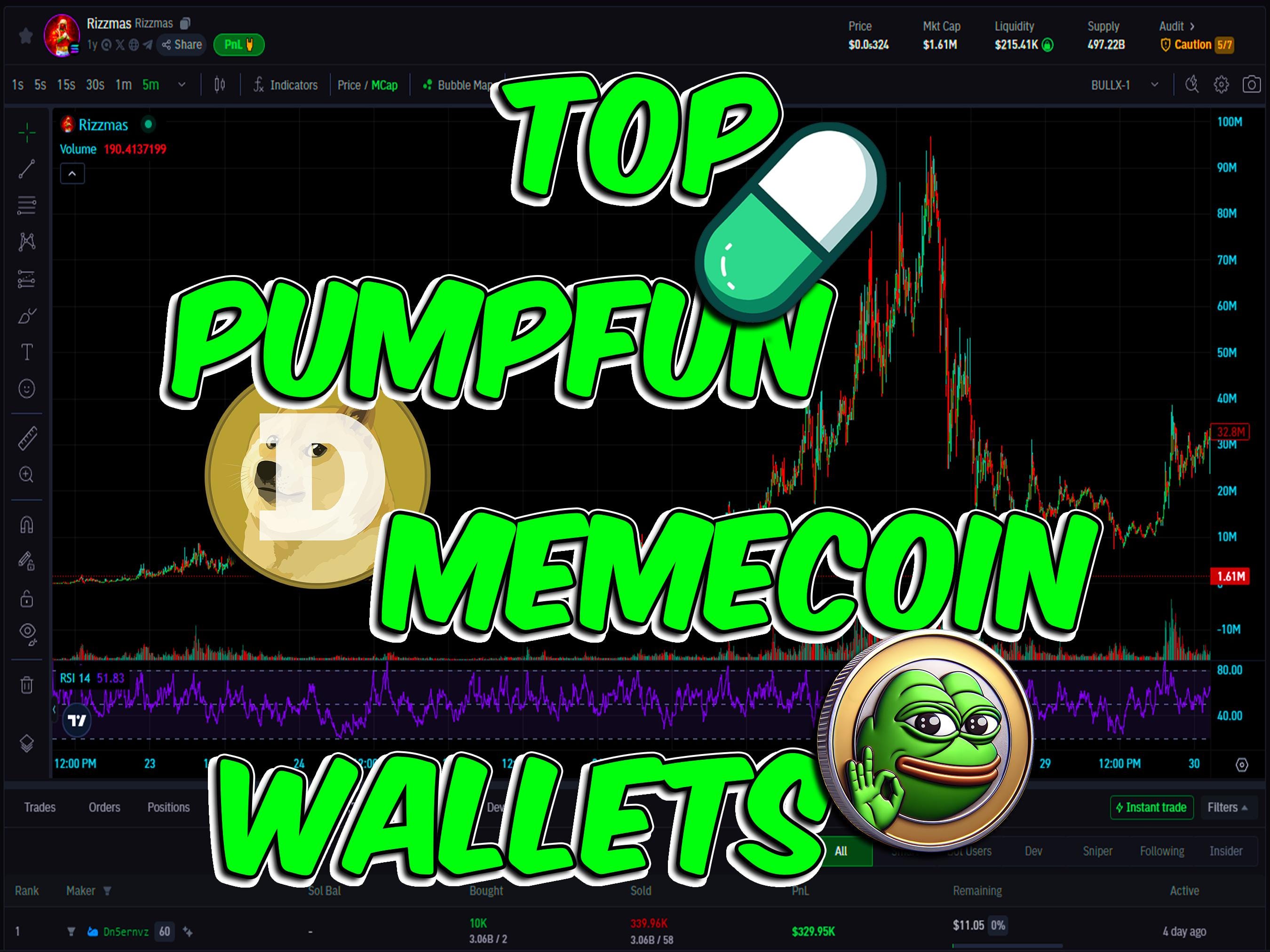 Top Memecoin Trader Wallets Copy Trader Public Solana-portemonnee PumpFun  Bullx Neo Photon DEX Crypto Trading scalperen PEPE Rizzmas CHILGUY - Etsy  België