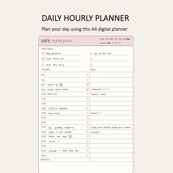 Daily Hourly Planner Instant Download Pink Digital Planner - Etsy