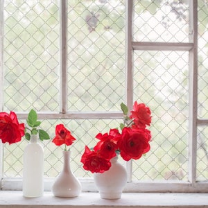 Puede incluir: Tres jarrones de cerámica blanca de diversas formas y tamaños, cada uno con rosas rojas vibrantes y hojas verdes. Los jarrones están dispuestos en fila sobre el alféizar de una ventana, con las rosas frente a un cristal con rejilla.