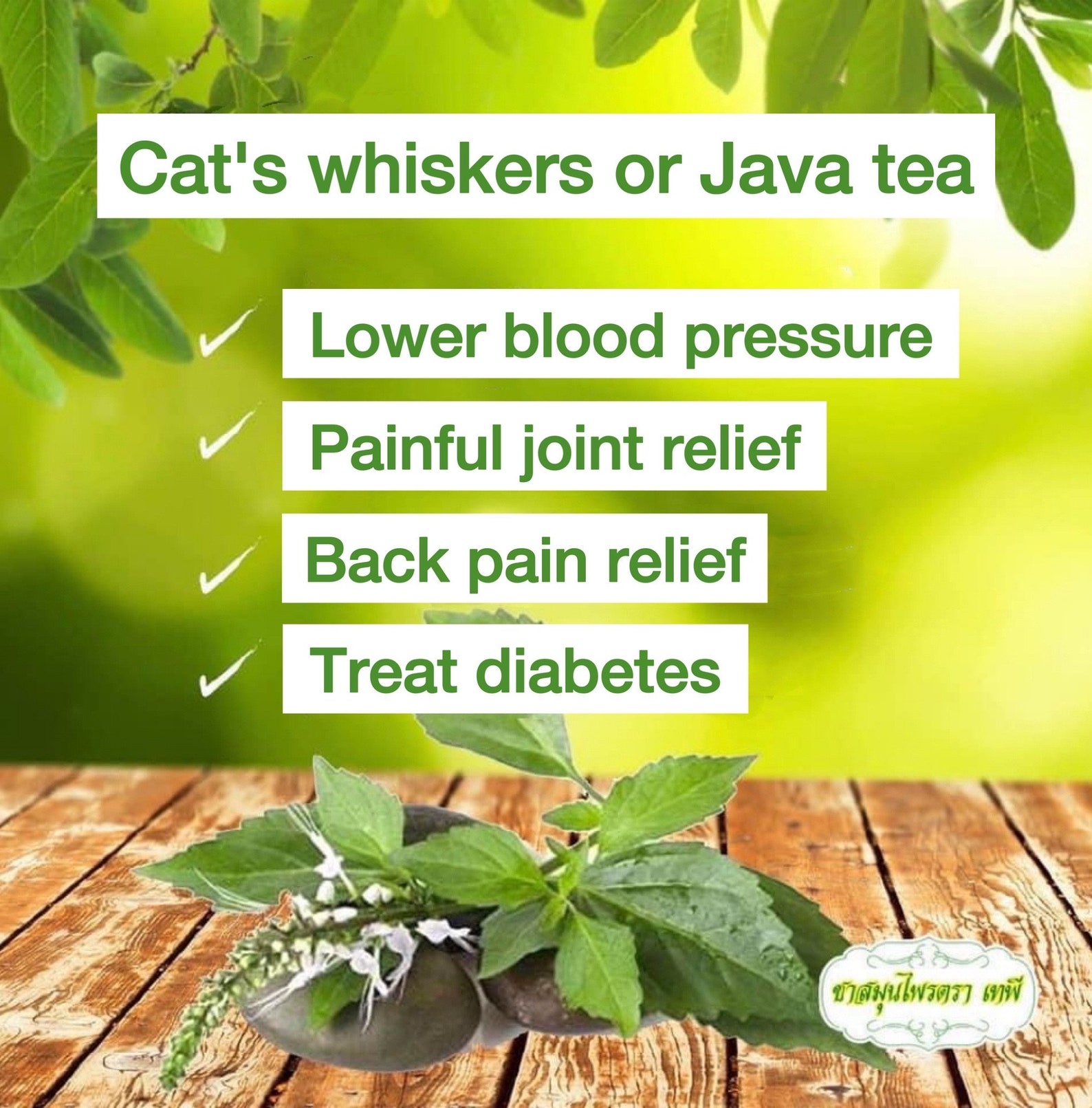 Tepee Tea Organic Thai Herbal Natural Muscle Pain Reduce Gout Etsy