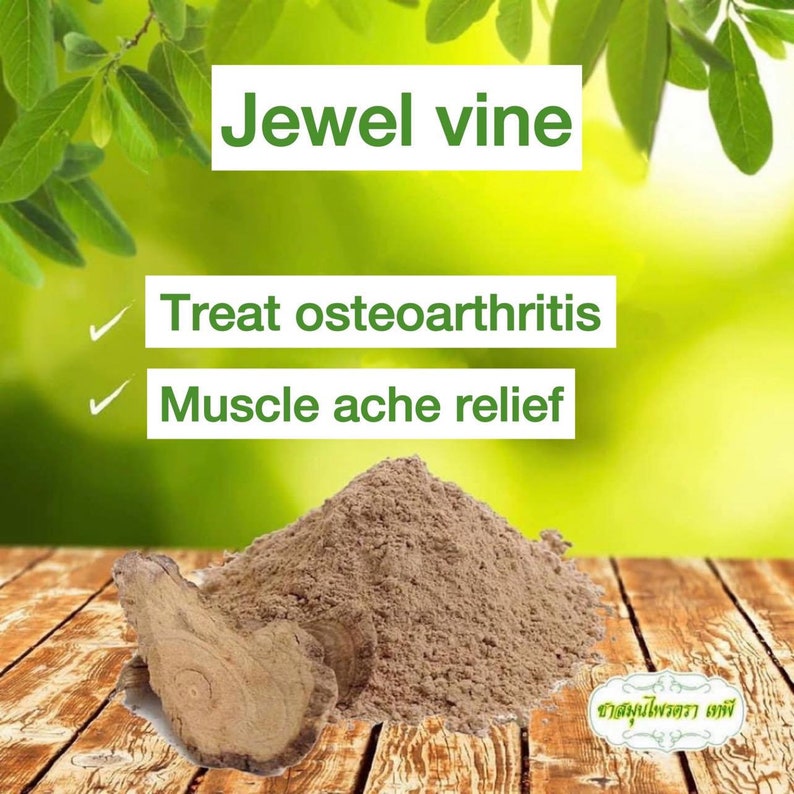 Tapee Tea Organic Thai Herbal Natural Muscle Pain Reduce Gout Etsy