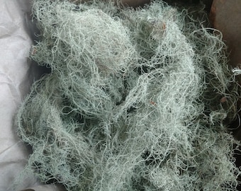 Usnea Lichen 100% natural