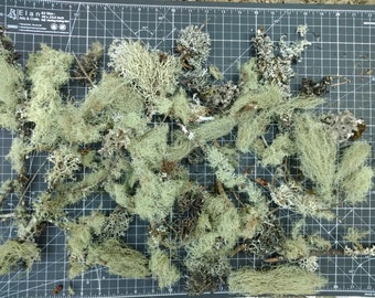 Liquen, 100% natural, variedad mixta