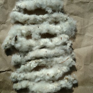 Cottonwood Seed Puffs - 100% Natural
