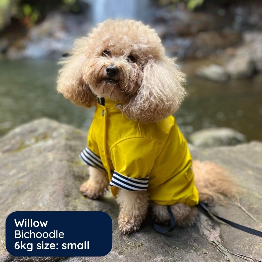 Funkcoat Luxury Dog Raincoat Etsy Australia