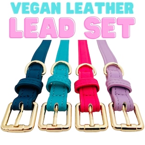 funkLEAD - Leather Look Collar & Lead Set