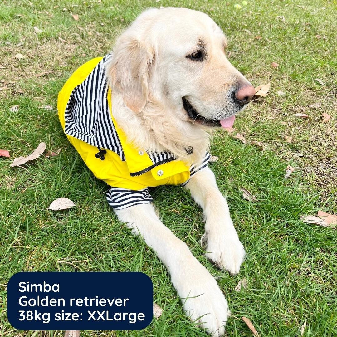 Funkcoat Luxury Dog Raincoat Etsy Australia