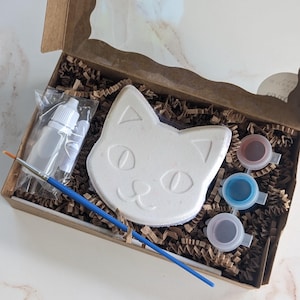 Paint-Your-Own Kitty Cat Bath Bomb, Kids Bath Bomb Painting Kit