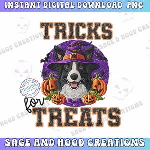 Puede incluir: Un perro border collie blanco y negro con un sombrero de bruja morado con un borde negro y una pajarita negra. El perro está rodeado de calabazas naranjas con caras de jack-o-lantern. El texto "TRICKS for TREATS" está escrito en letras negras con un fondo brillante.