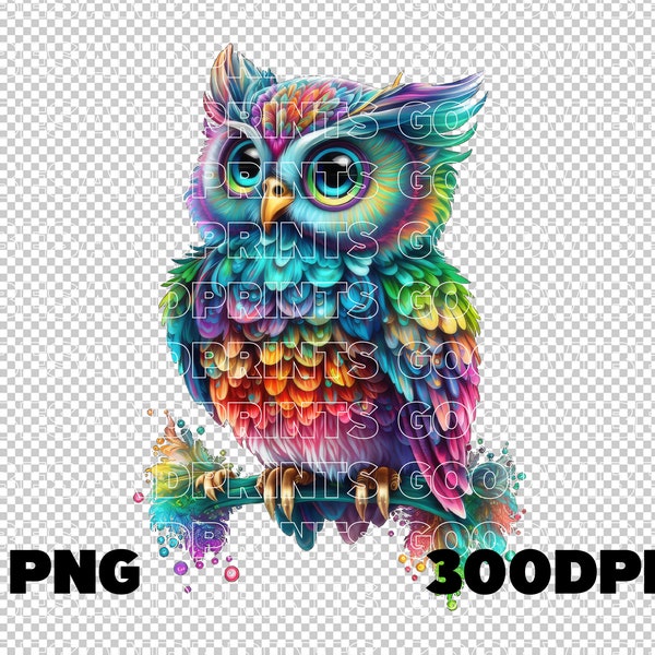 Rainbow Owl Sublimation DTF DTG, Funny Bird Png Sublimation Design, Cute animal Clipart, Png For Kids