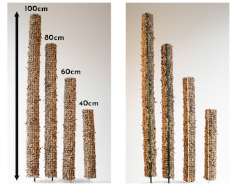 Moss pole 40-100cm moss poles Moss Pole trellis various lengths for Monstera Syngonium Philodendron