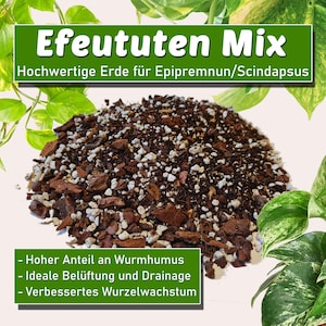Pothos Soil | High-Quality Peat-Free Potting Soil for Epipremnum, Scindapsus with Worm Castings - Ideal Aeration and Structure
