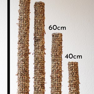 Moss pole 40-100cm moss poles Moss Pole trellis various lengths for Monstera Syngonium Philodendron