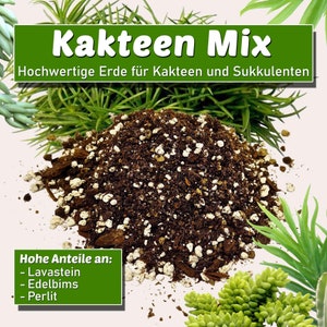Cactus and Succulent Soil - Peat-Free Substrate, High Mineral Content, Coarse Texture, Good Aeration & Drainage