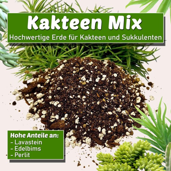 Cactus and Succulent Soil - Peat-free Substrate, High Mineral Content,  Coarse Texture, Good Aeration & Drainage - Etsy Ireland