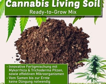 CoupleofPlants - Etsy.de