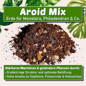 Terreau Monstera - Mélange d&#39;aroïdes | Terreau sans tourbe pour plantes aroïdes - aération idéale, structure grossière