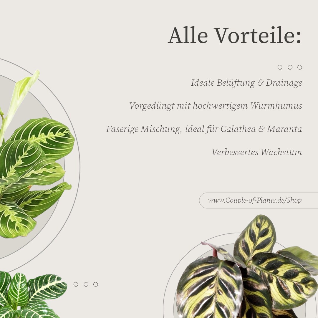Calathea Erde | Substrat fr Calathea & Maranta Arten, faserige Mischung,  ideale Belftung, starkes Wachstum - Etsy sterreich