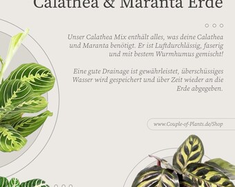 Calathea Erde | Substrat fr Calathea & Maranta Arten, faserige Mischung,  ideale Belftung, starkes Wachstum - Etsy sterreich