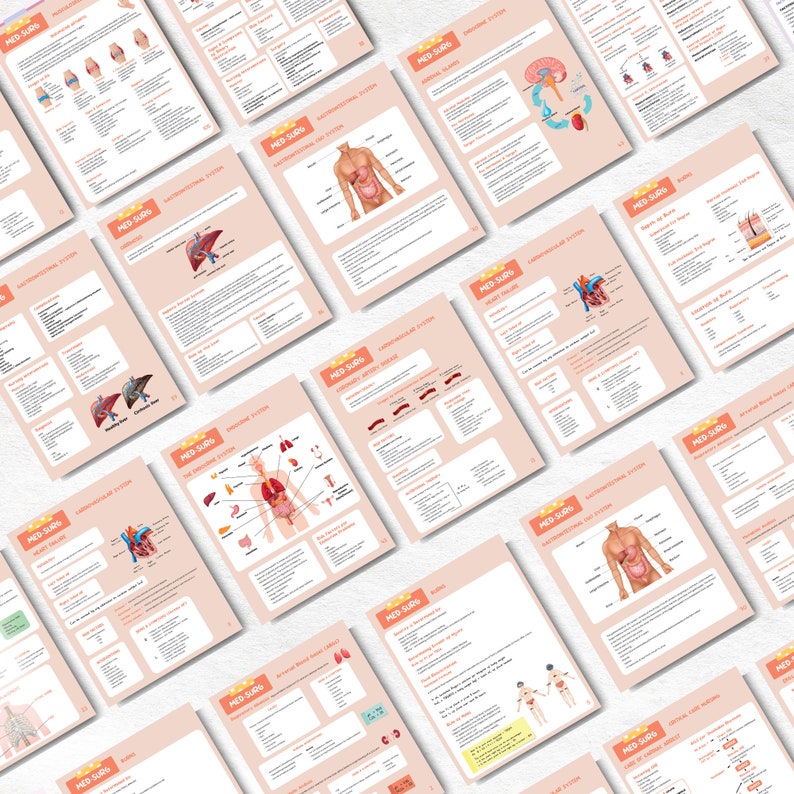Medical Study Guide Med-surg Study Nursing Notes Guide Bundle | Medical-surgical Burns ...