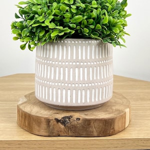 May include: A small, round, light grey ceramic planter with a white dotted and striped pattern, holding a vibrant green plant. The planter sits on a natural wood slice, displayed on a light wood surface. Home decor.