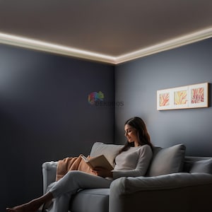 May include: A woman reading a book while sitting on a gray sofa in a room with a decorative ceiling light. The room has dark gray walls and a framed artwork with three panels.