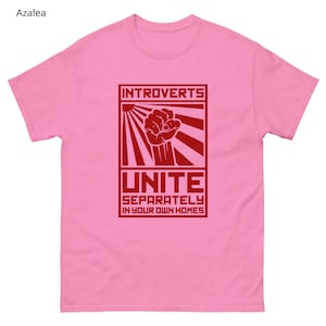 May include: A pink t-shirt with a red graphic that reads "Introverts Unite Separately in Your Own Homes." The design features a fist and sunburst rays. The shirt is made of a soft material.