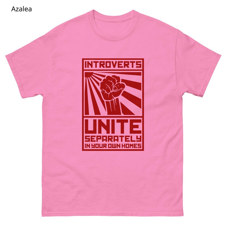May include: A pink t-shirt with a red graphic that reads "Introverts Unite Separately in Your Own Homes." The design features a fist and sunburst rays. The shirt is made of a soft material.
