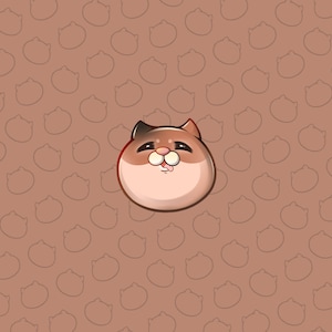 Stinger Transition / Cute Stinger / Custom Twitch Cute Cat Stinger Transition