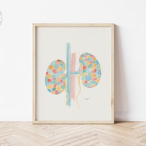Mosaic kidneys watercolor print, Anatomy art, Kidneys painting, Medical gift, Watercolor illustration, Medicine wall art, Urinary sistem art