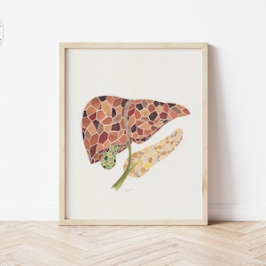 Mosaic liver, galbladder, pancreas watercolor print, Anatomy art, Liver painting, Medical gift, Watercolor illustration, Medicine wall art