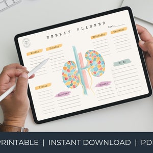 Planificador semanal Paisaje imprimible / Organizador semanal de riñones / Planificador digital de arte / Carta A4, Lista de tareas pendientes, Planificador de escritorio, Bloc de notas médico