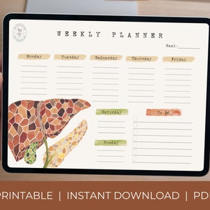 Planificador semanal Paisaje imprimible / Organizador semanal del hígado / Planificador digital de arte, Tamaño de carta A4, Lista de tareas pendientes, Planificador de escritorio, Bloc de notas médico