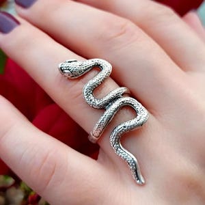 Könnte beinhalten: Ein silberner Schlangenring. Der Ring umschlingt den Finger, wobei sich der Schlangenkopf oben und der Schwanz unten befindet. Die Schlange hat detaillierte Schuppen und eine strukturierte Oberfläche.