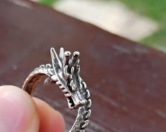 May include: A silver-colored ring featuring a detailed dragon design. The dragon's head is prominently displayed, with intricate scales and facial features. The ring is held up, showcasing its craftsmanship and style.