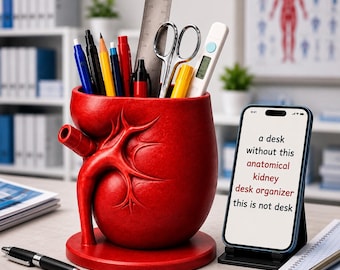 Anatomischer Stiftehalter in Nierenform (STL) | Schreibtisch-Organizer aus 3D-Druck | Geschenk für Medizinstudenten | Pflanzgefäß in Nierenform | Dekoration für Arztpraxen
