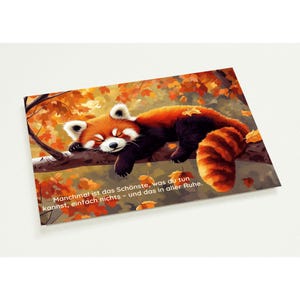 10 Postkarten roter Panda schläft, Herbstwald, Spruch