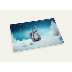 10 cartes Écureuil d'hiver dans la neige Lot de 10 cartes postales (2 faces, enveloppes standard)